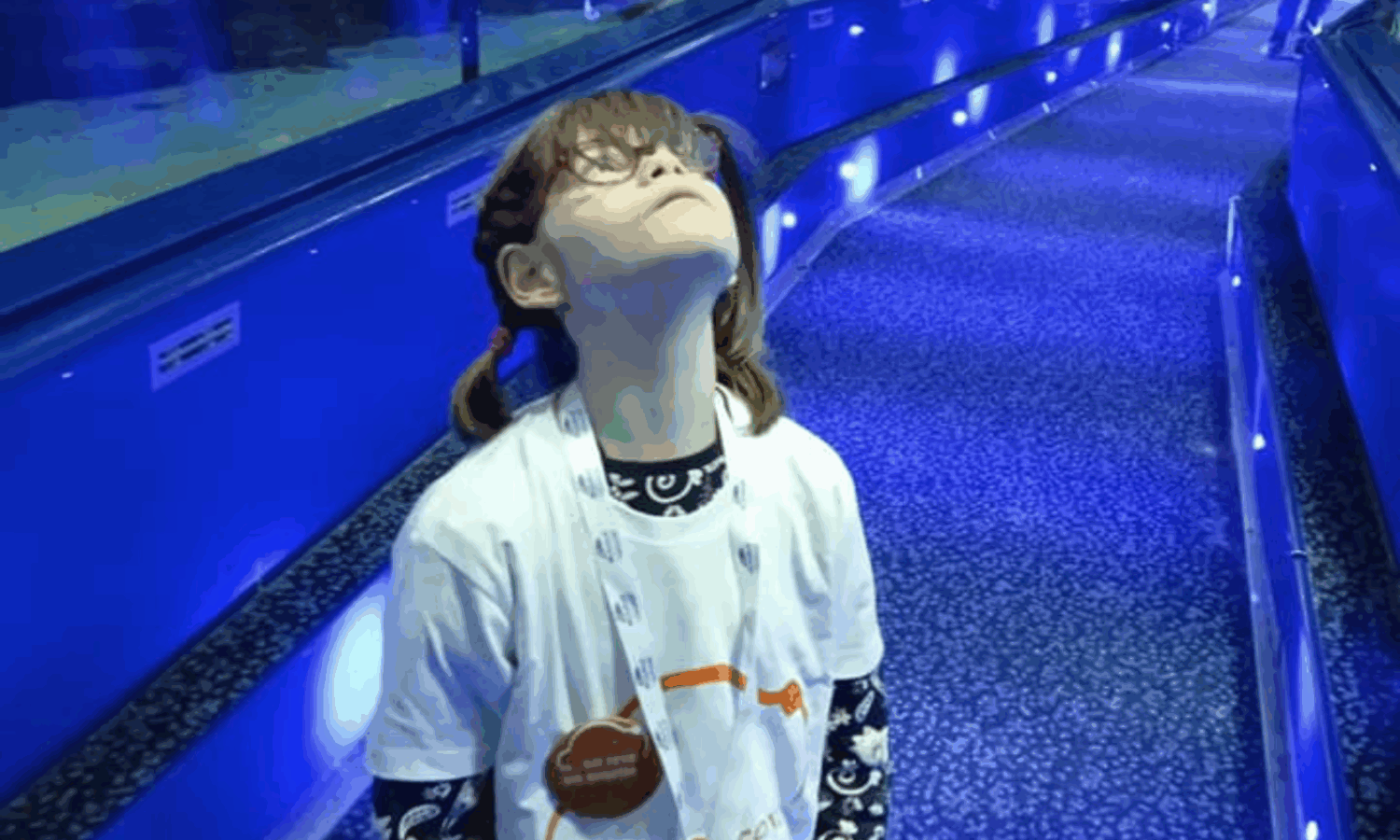 MINI-CALY
