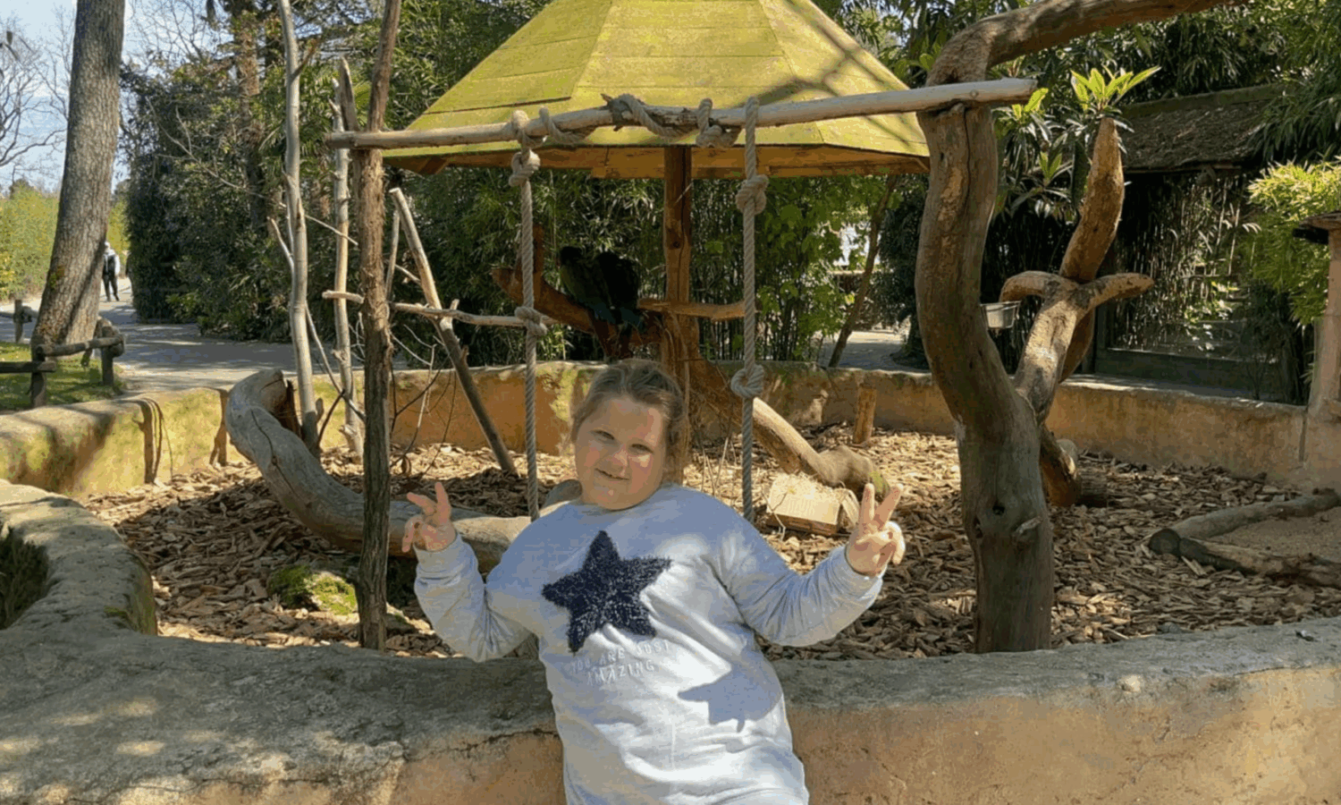 aline-mini aline-mini